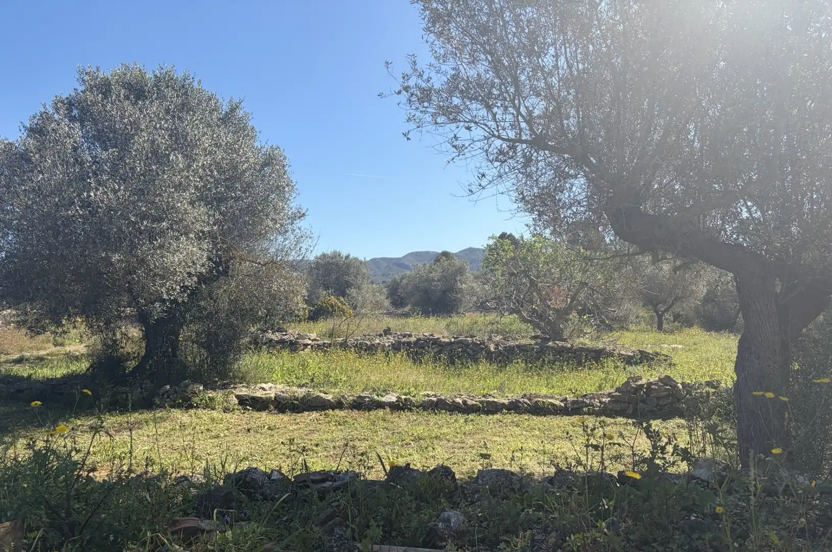 Finca rústica en venta en Tivissa