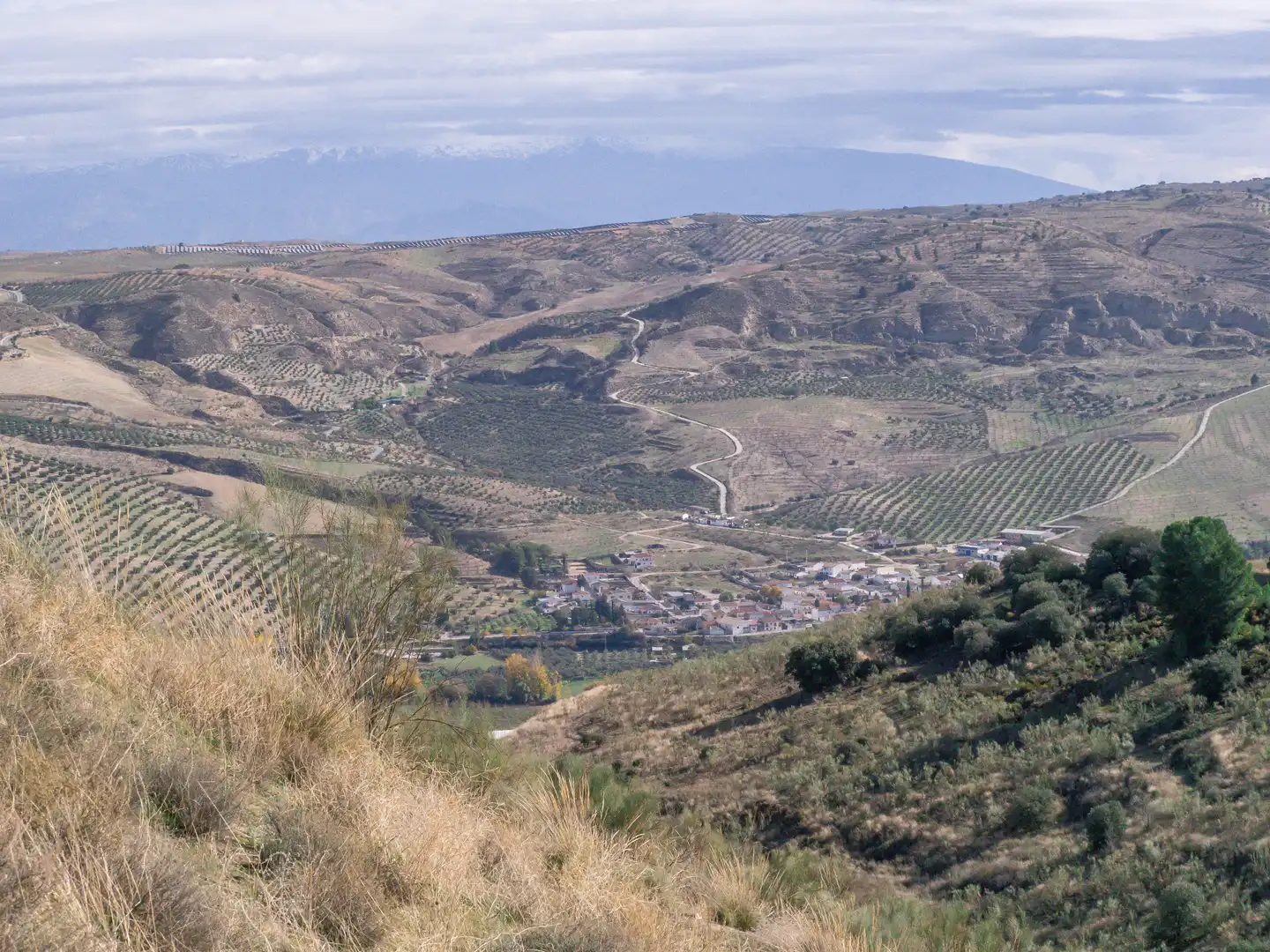 Außenansicht von Grundstücke zum Verkauf in Alhama de Granada