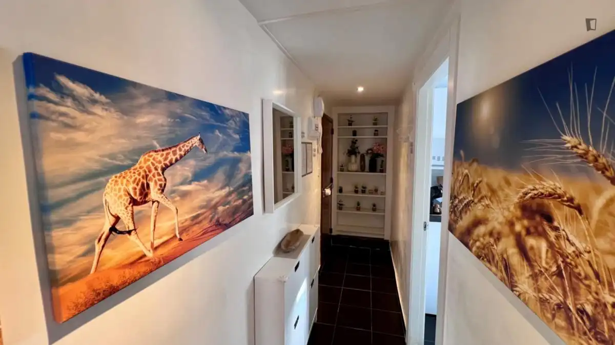 Apartament de lloguer a Centro, imagen 49