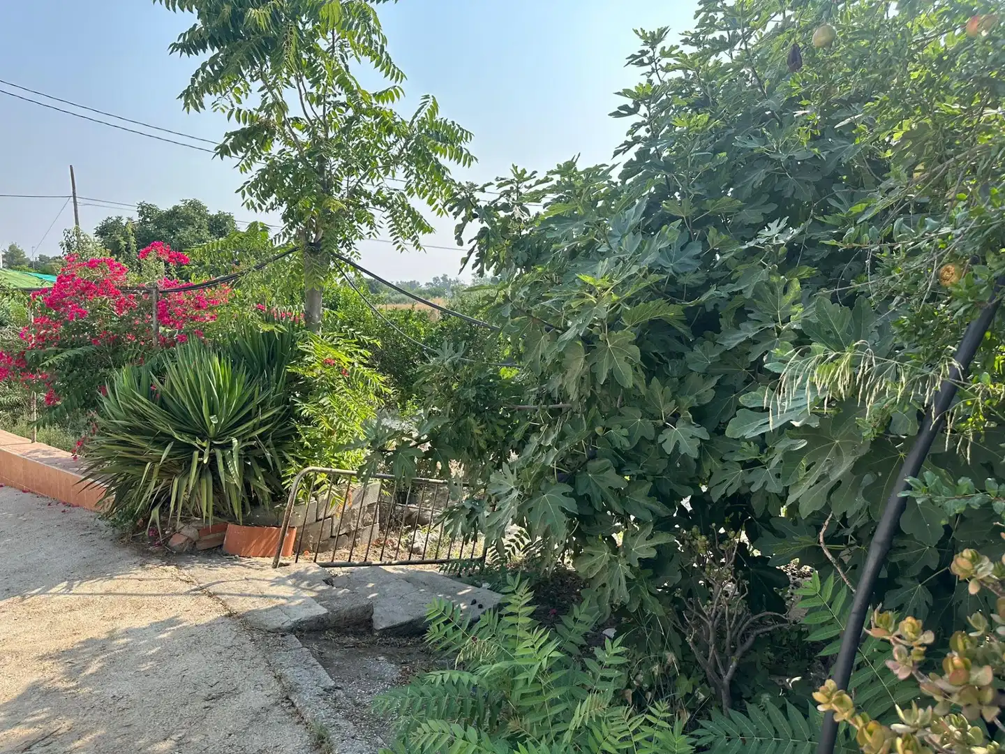 Business premises for sale in Pedanías Centro, imagen 40