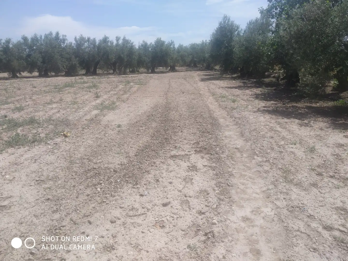 Chalet en venta en Lugar Cortijo Salomon, imagen 12