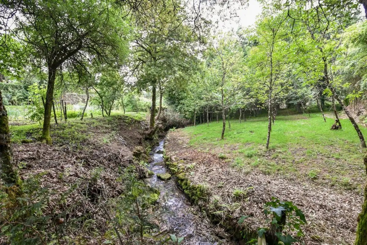 Casa o xalet en venda en Mondariz amb Jardí privat, Terrassa i Traster