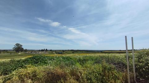 Foto 5 de Residencial en venda a Plan Parcial P.p. 1a, Alosno pueblo, Huelva