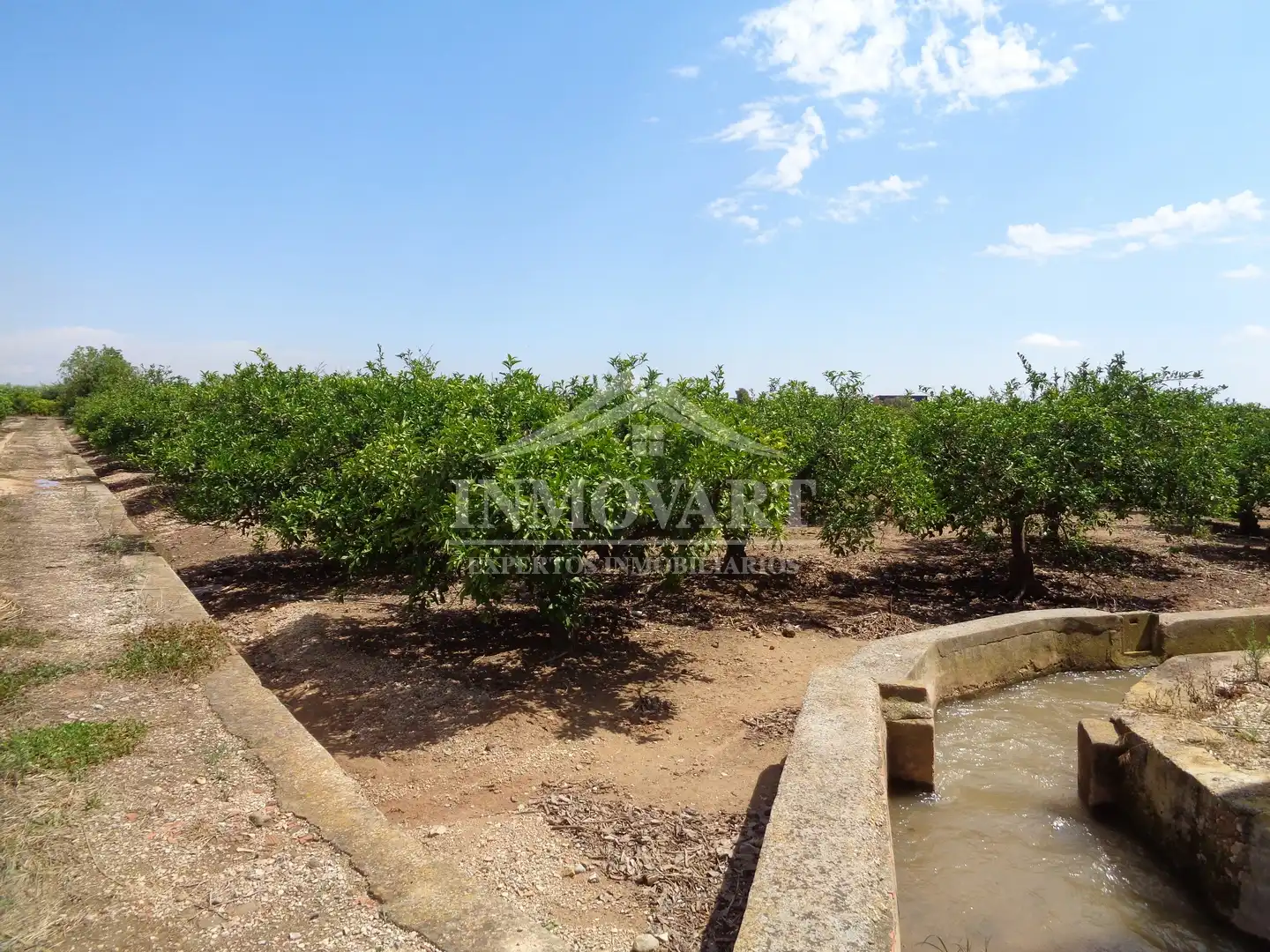 Rural land for sale in Sollana