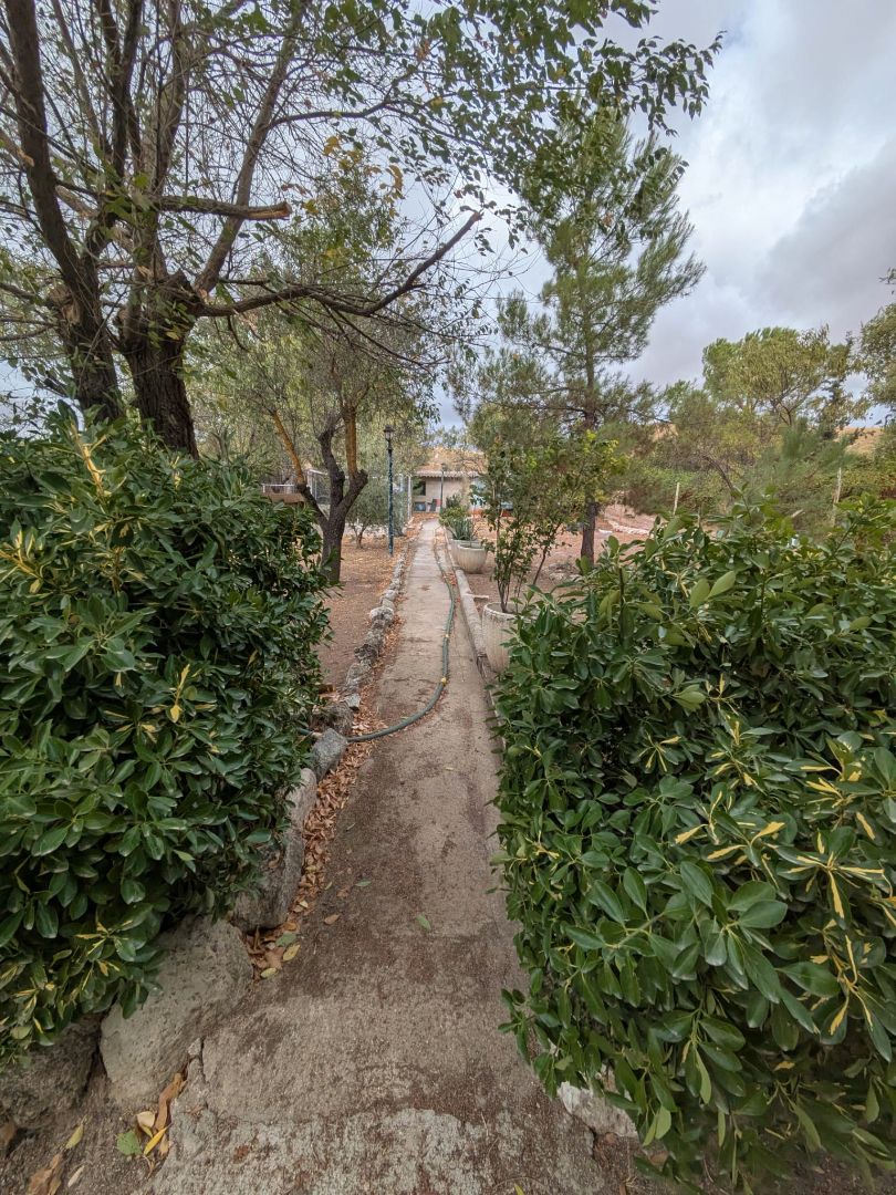 Exterior view of House or chalet for sale in Morata de Tajuña  with Private garden, Terrace and Swimming Pool