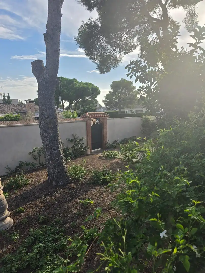 Garden of Houses for sale in Orihuela