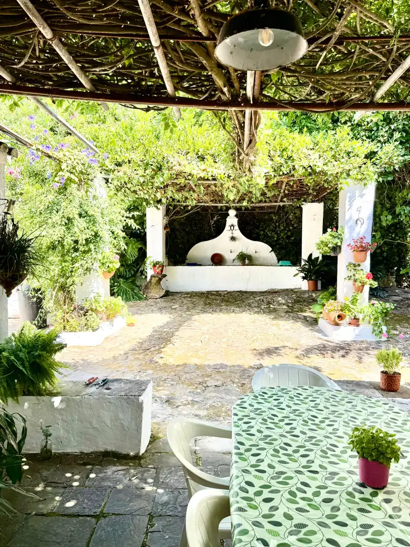 Jardín de Casa o chalet en venta en Algeciras con Jardín privado, Terraza y Piscina