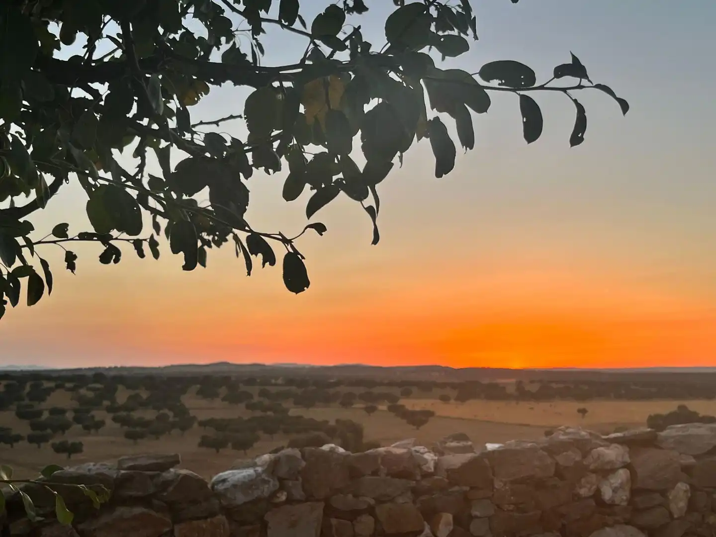 Vista exterior de Finca rústica en venta en Horcajo Medianero