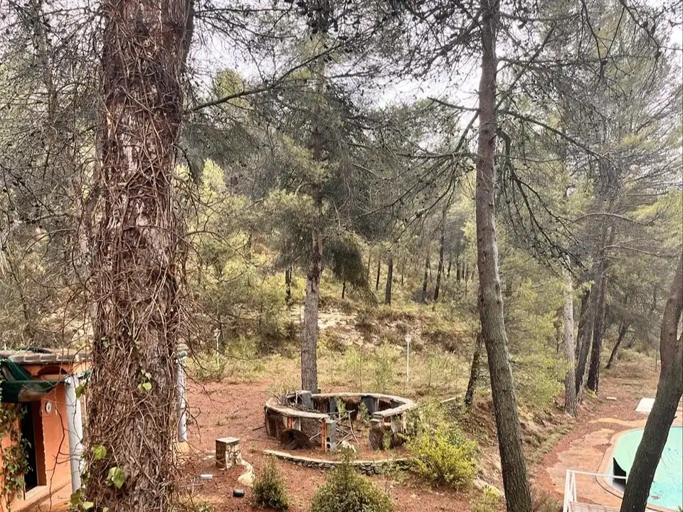 Casa amb piscina en venda a Sargento (El), imagen 9