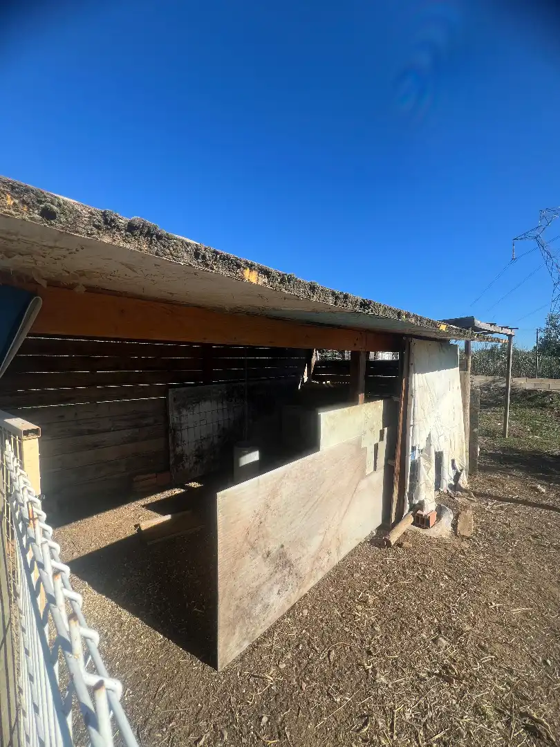 Vista exterior de Finca rústica en venta en Botarell con Jardín privado, Trastero y Amueblado