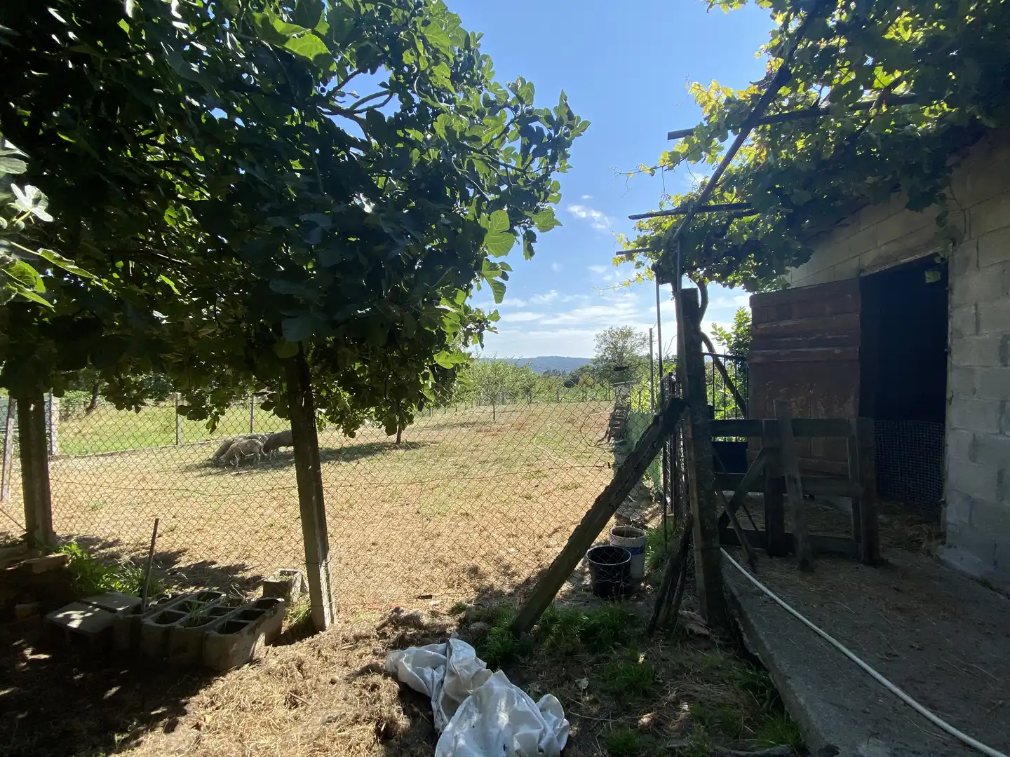 Casa amb terrassa en venda a Travesia a Aldea Abaixo, imagen 4