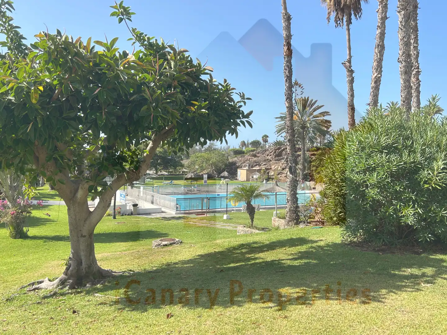 Schwimmbecken von Wohnungen zur Miete in San Bartolomé de Tirajana mit Klimaanlage, Terrasse und Möbliert