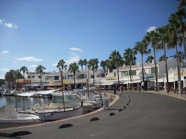 Local commercial à vendre à Cala d'en Bosch - Serpentona