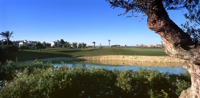Piso con piscina en venta en Avenida del Mar 60, imagen 23