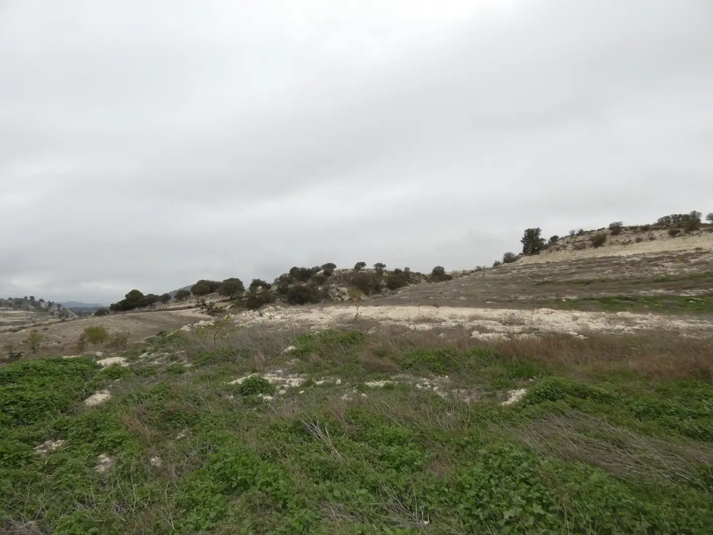 Terreno en venta en María