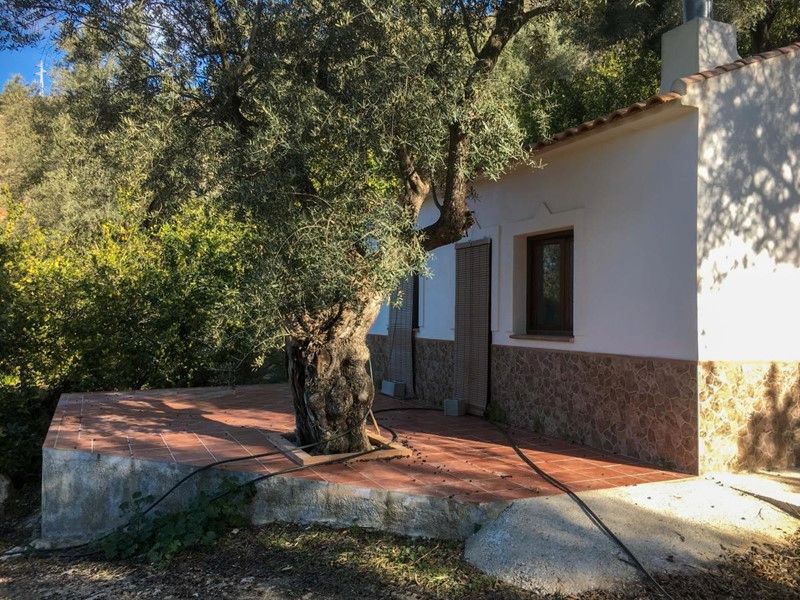 Vista exterior de Finca rústica en venda en Lecrín amb Jardí privat i Terrassa