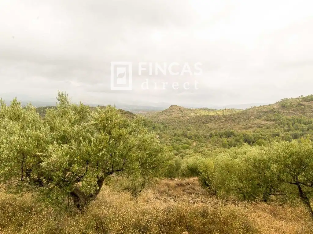 Country house zum Verkauf in Tortosa mit Möbliert
