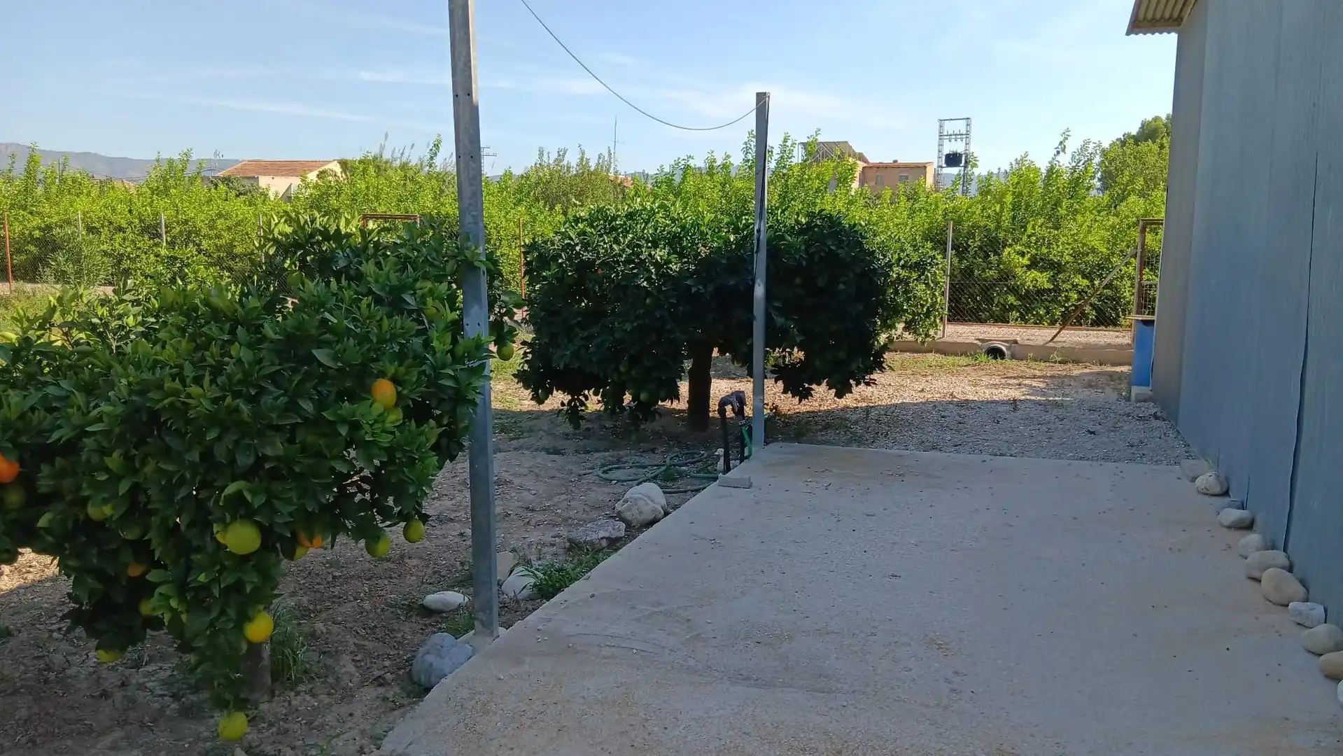 Terreny rústic en venda a Pedanías Oeste, imagen 4