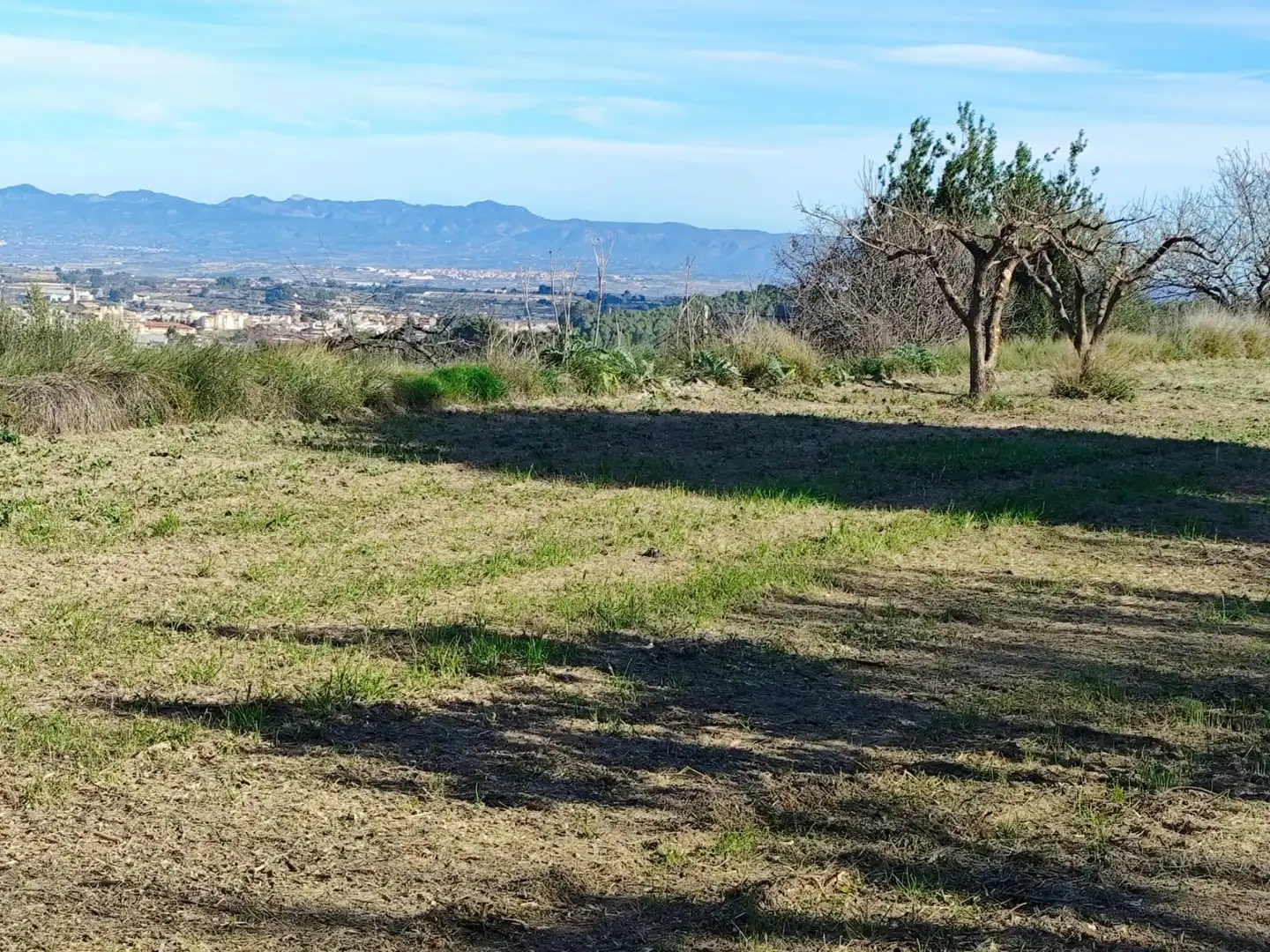Terreno residenziale in vendita a Agullent, imagen 21