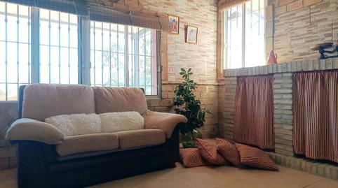 Photo 2 of Country homes for sale in N/a, Paterna del Campo, Huelva