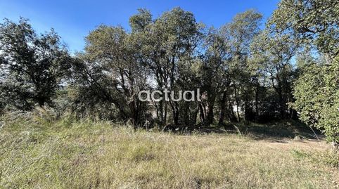 TERRENO EN CALONGE, imagen 2