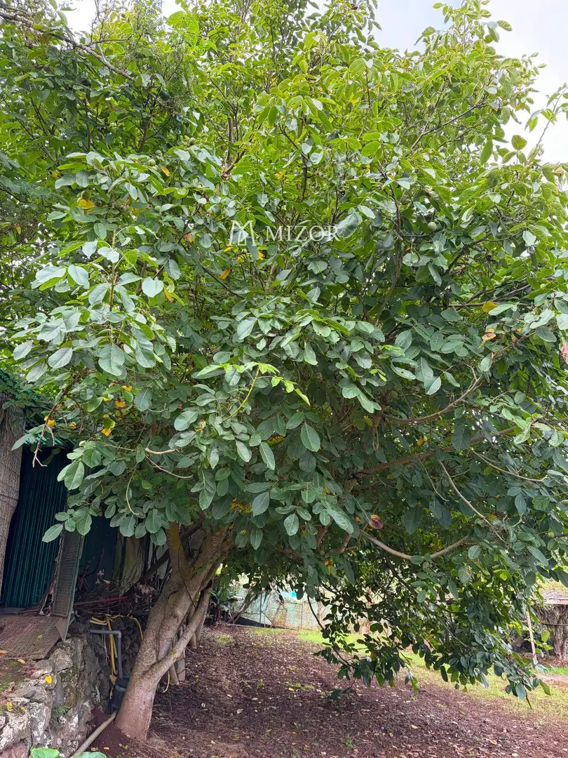 Rural land for sale in el rodeo, imagen 20