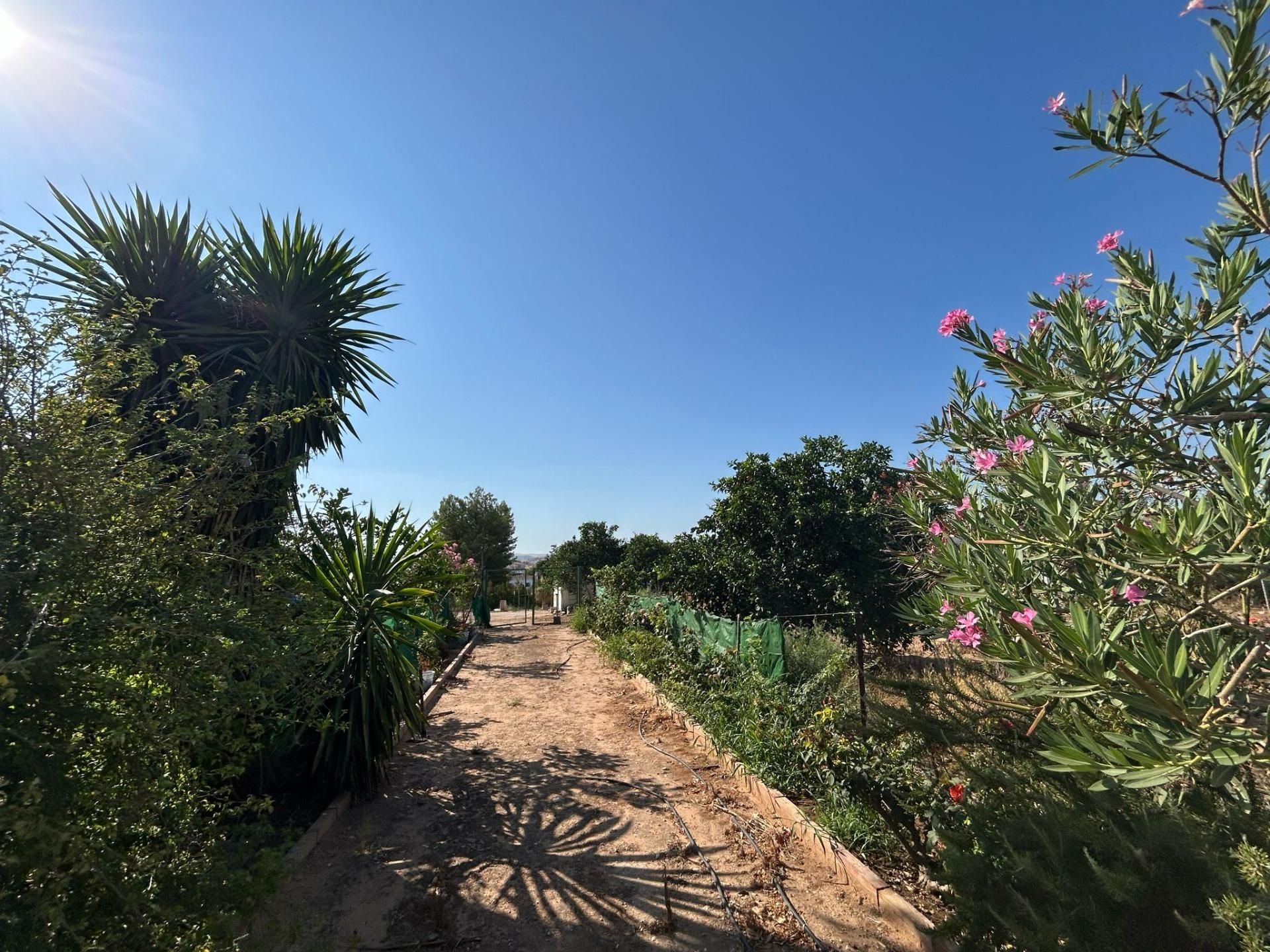 Garden of Houses for sale in Marchena