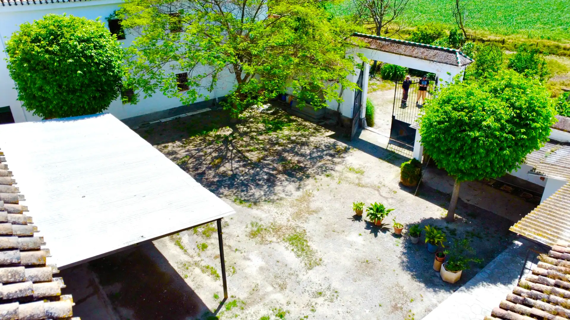 Jardín de Casa o chalet en venta en Granada con Jardín privado, Terraza y Trastero
