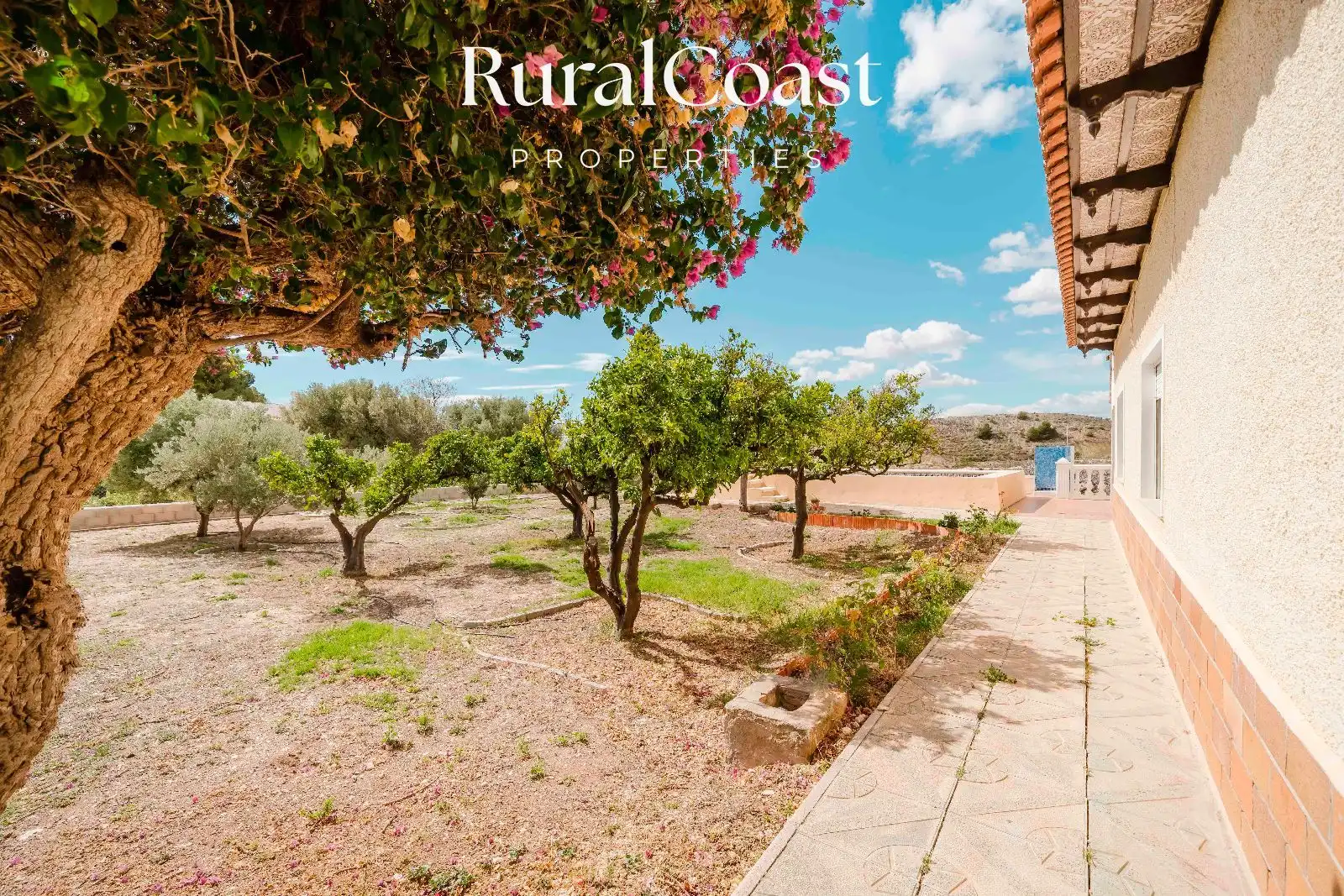 Casa o chalet en venta en JOAN VALLS, Valle del Sol