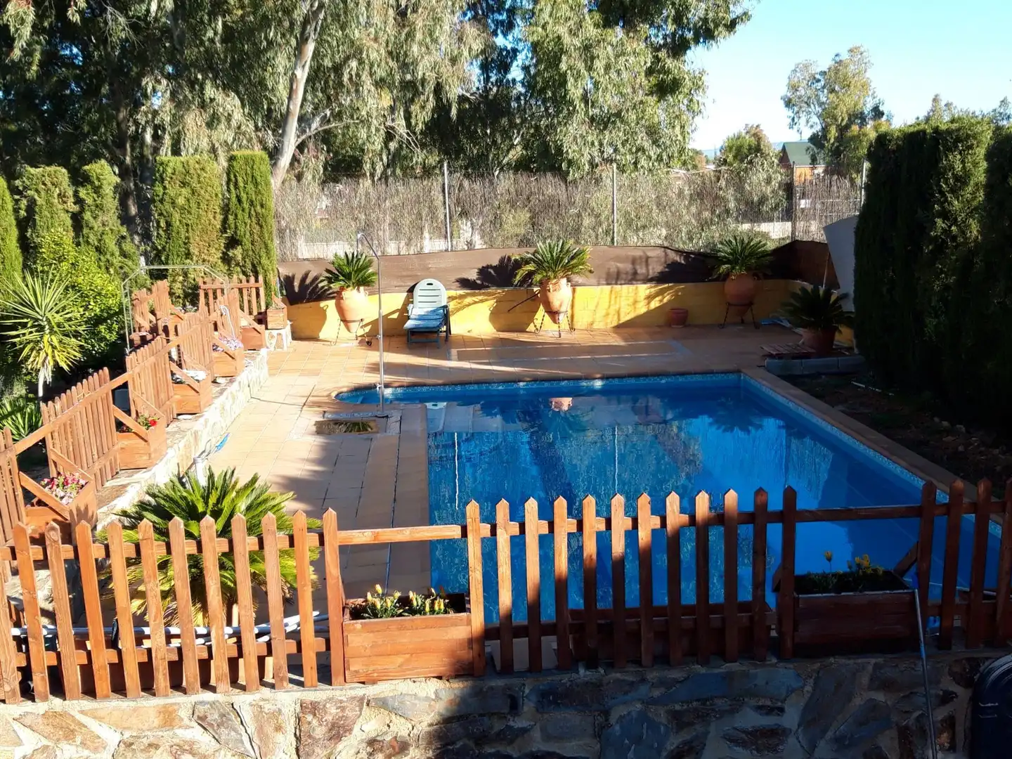 Piscina de Casa o xalet en venda en Linares amb Aire condicionat, Calefacció i Jardí privat