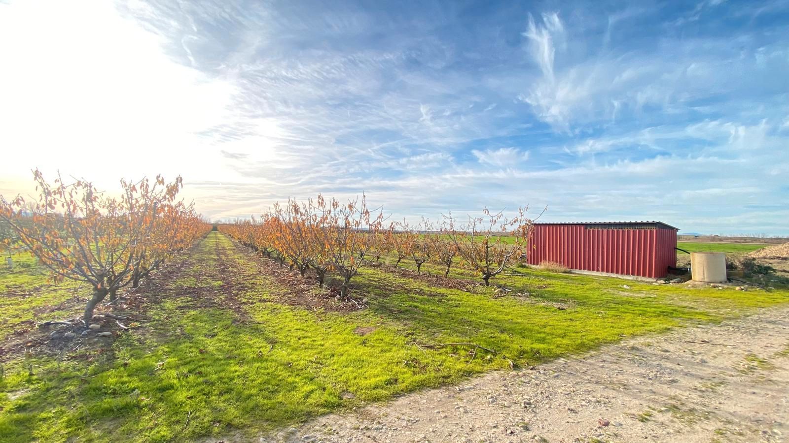 Land for sale in Alagón del Río