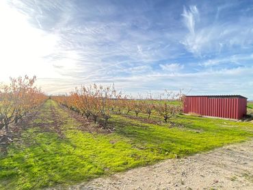 Terreno rustico in vendita a Alagón del Río