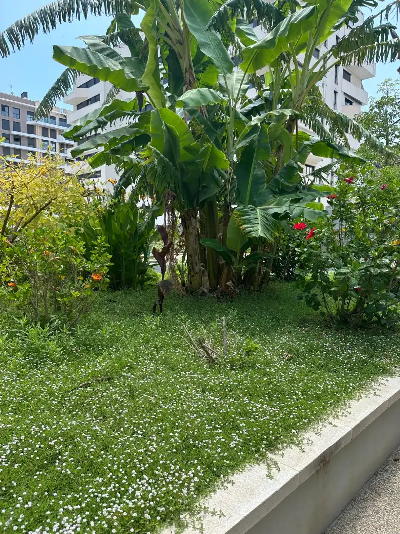 Apartamento de alquiler en Alicante / Alacant con Aire acondicionado, Amueblado y Horno