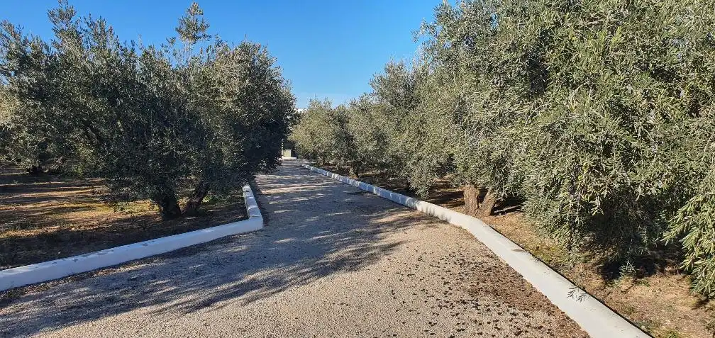 Xalet en venda a Hellín, imagen 20