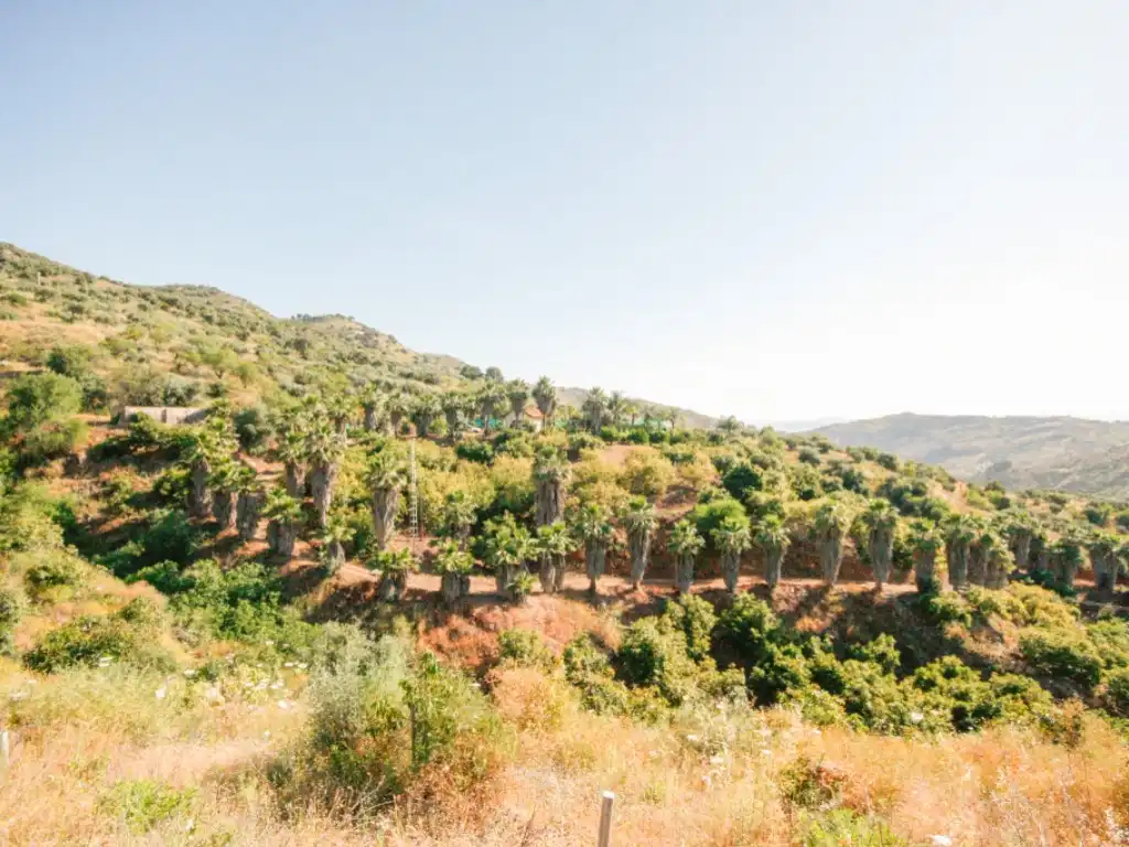 Exterior view of Houses for sale in Monda
