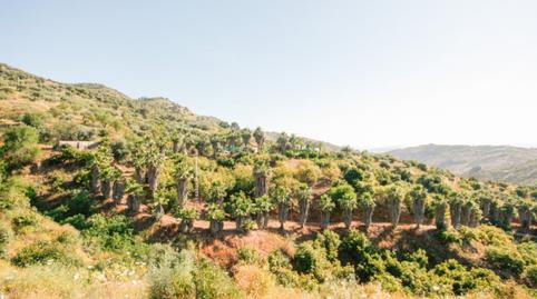 Foto 4 de Casa o xalet en venda a N/a, Monda, Málaga