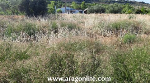 Finca cerca del río Matarraña, immagine 3