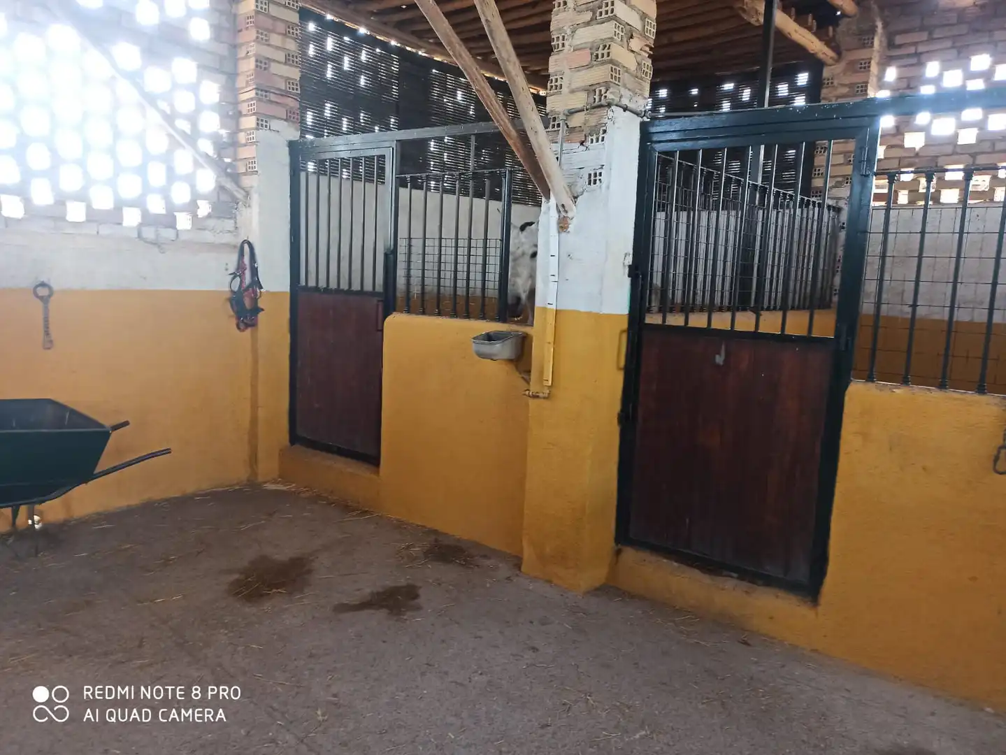 Houses for sale in Fuente Vaqueros  with Private garden