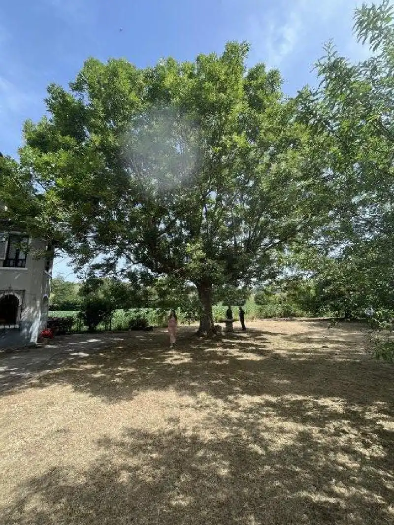 Terreni e lotti in vendita a Riotuerto, imagen 50
