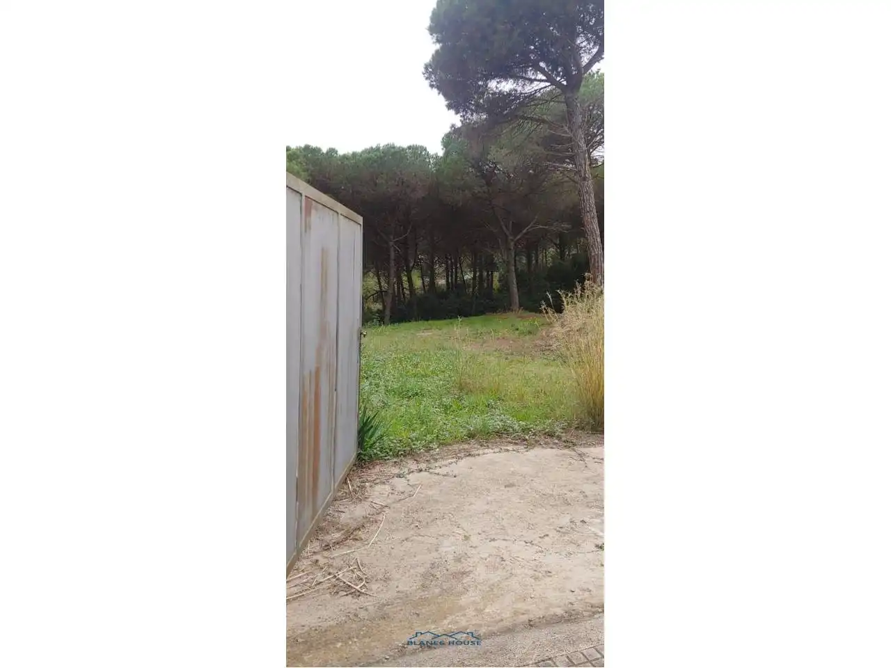 Terreno rustico in vendita a Calle San Daniel 0, imagen 5