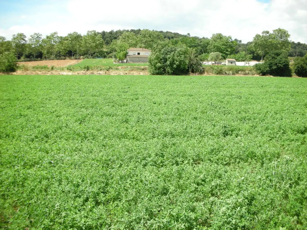 Land for sale in Vilanova del Vallès