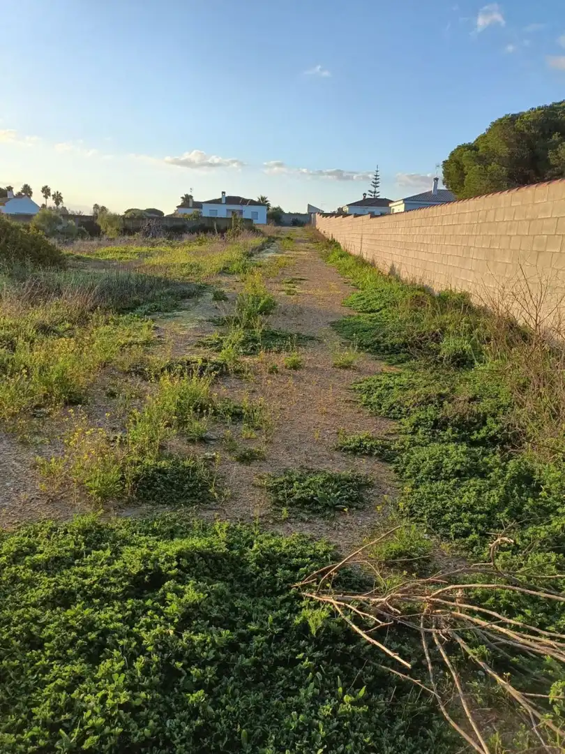 Casa o xalet en venda en Chiclana de la Frontera