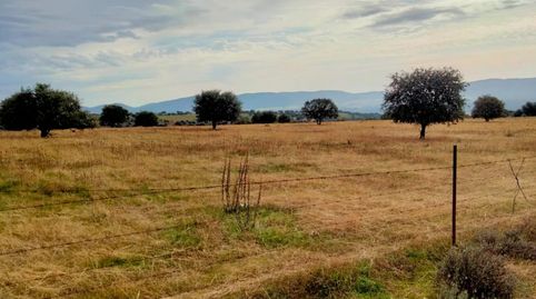Finca Rúst. en venta en Badajoz.
