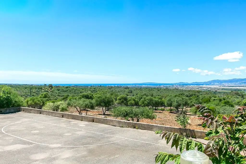 Vista exterior de Finca rústica en venta en  Palma de Mallorca con Jardín privado, Terraza y Trastero
