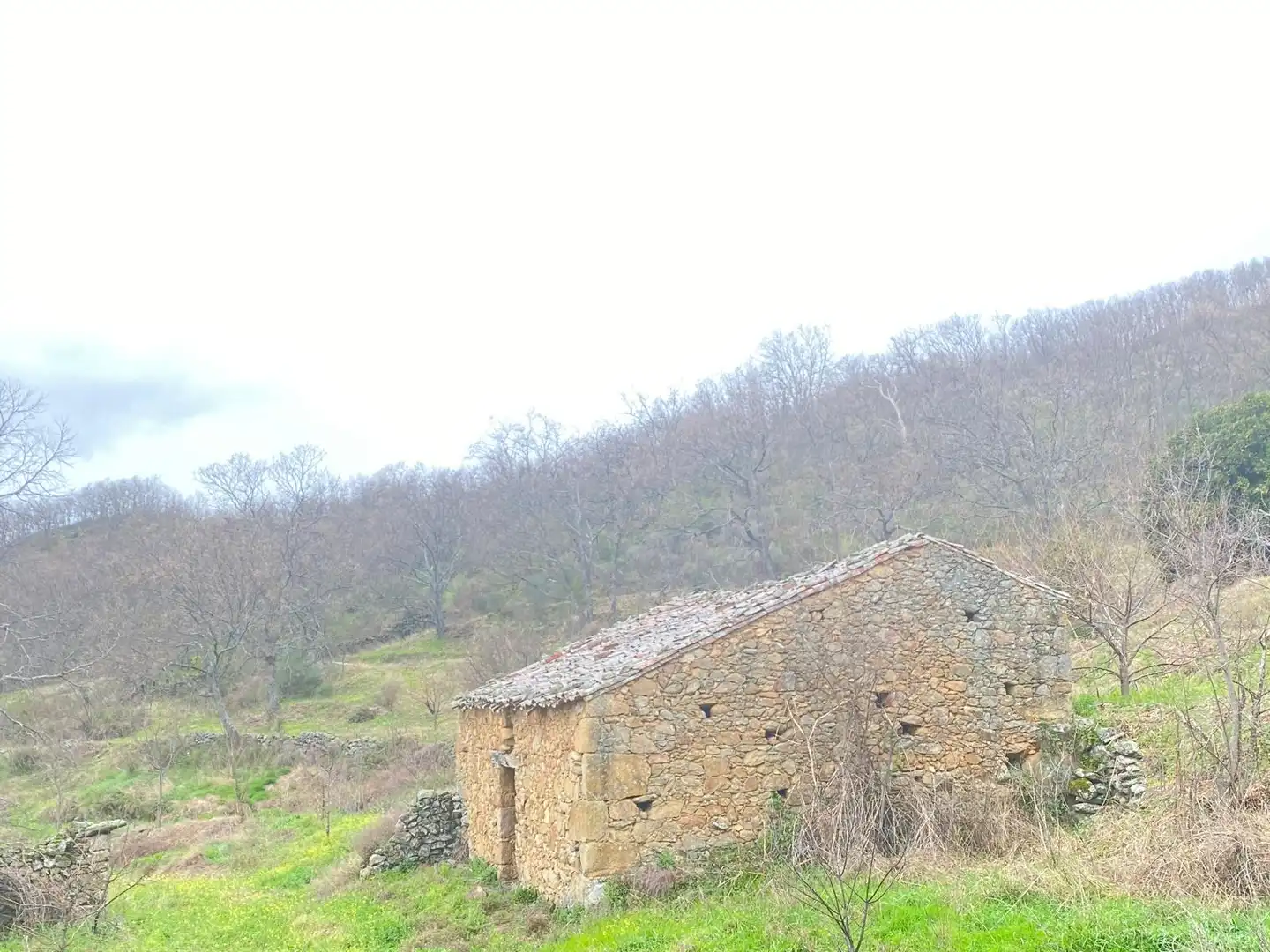Terreny rústic en venda a Arroyomolinos de la Vera, imagen 8
