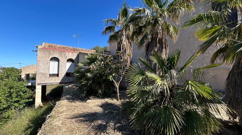 Foto 3 de Finca rústica en venta en Monóvar / Monòver, Alicante