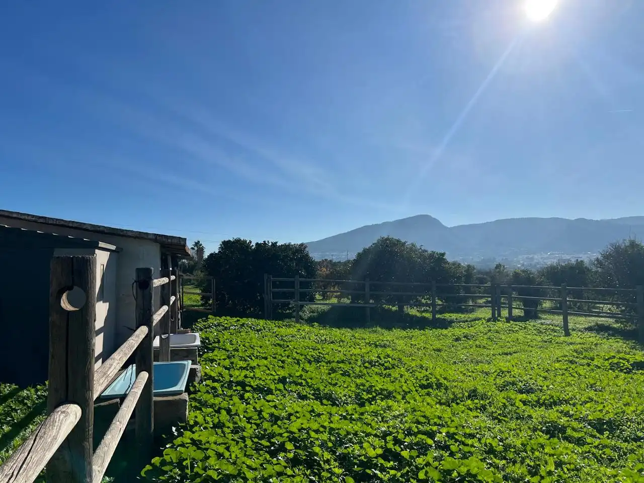 Vista exterior de Finca rústica en venda en Alhaurín de la Torre amb Terrassa, Traster i Alarma