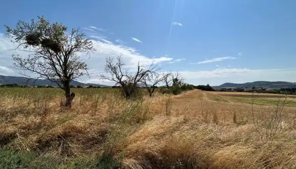 Rural land for sale in Polígono  Saratsua  polígono, imagen 18