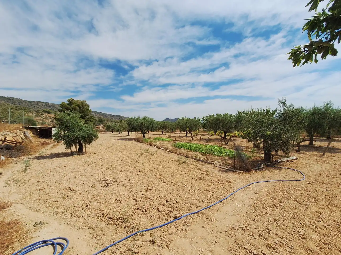 Casa o chalet en venta en Monóvar  / Monòver con Aire acondicionado, Calefacción y Jardín privado