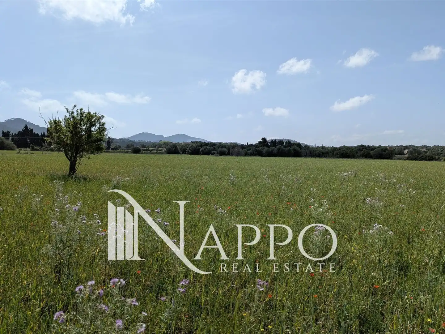 Residential land for sale in DISTRITO FELANITX CENTRO, imagen 3